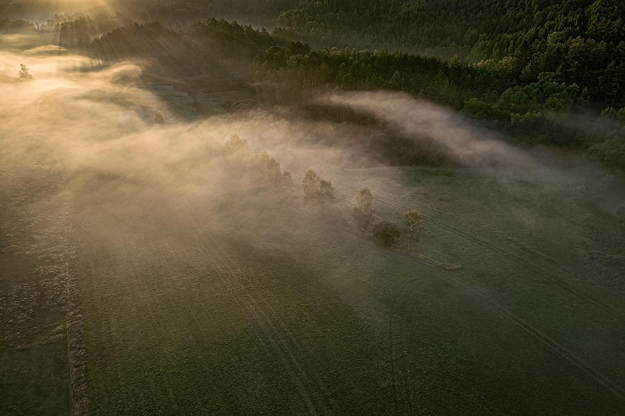 Misty Morning Photograph by Ilona Rosenkrancov