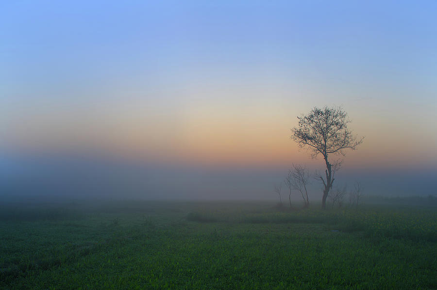 Misty Morning  In Punjab, Pakistan Photograph by Nadeem Khawar