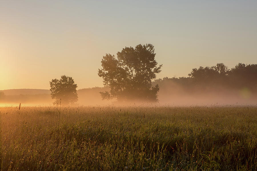 Misty Morning in the Great Meadows Photograph by Kyle Lee