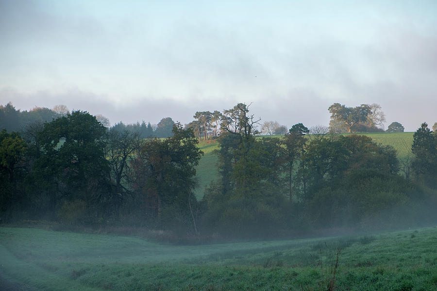 Misty morning Photograph by Mark Hunter