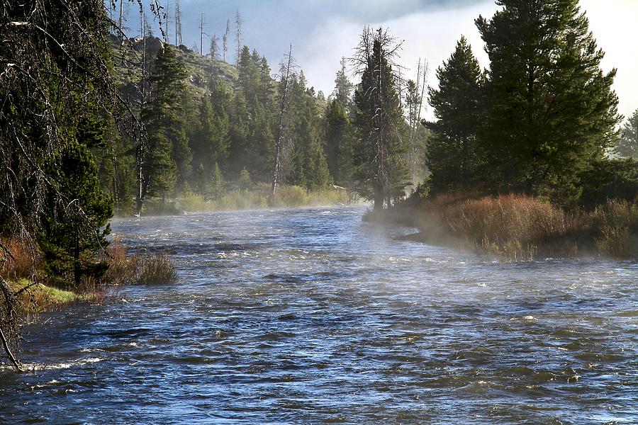 Misty Morning Photograph by Ed Riche