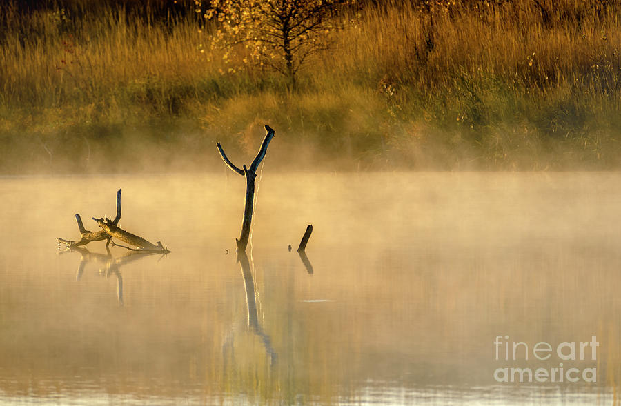 Misty Morning on the Lake Photograph by Sandra Js