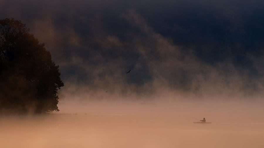 Fish Photograph - Misty Morning by Rob Li