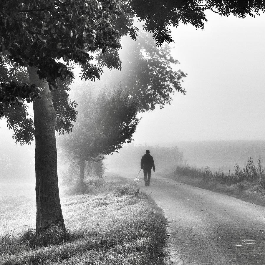 Misty Morning Photograph by Robert Kuavi