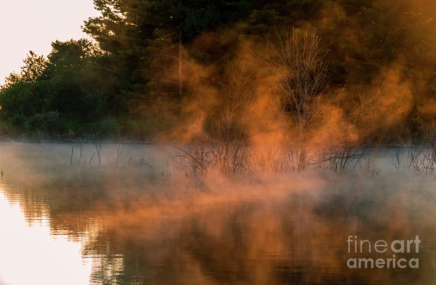 Misty Morning Sunrise Photograph by Sandra Js