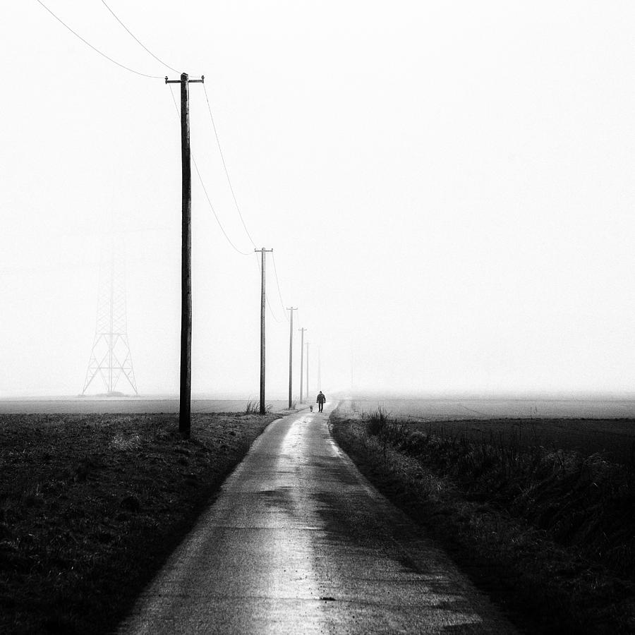 Misty Morning V Photograph by Viktor Bauer