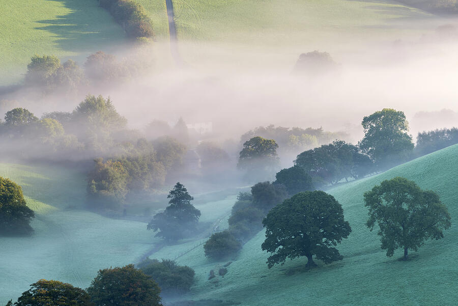 Misty Morning View Of Exmoor Countryside From Winsford Photograph by Ross Hoddinott / Naturepl.com Misty Morning View Of Exmoor Countryside From Winsford Photograph by Ross Hoddinott / Naturepl.com
