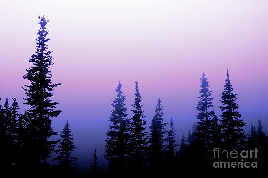 Misty Mountain Morning Going To The Sun Road Glacier National Park by John Stephens Misty Mountain Morning Going To The Sun Road Glacier National Park by John Stephens