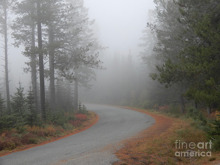 Misty Mountain Road Photograph by Carol Groenen