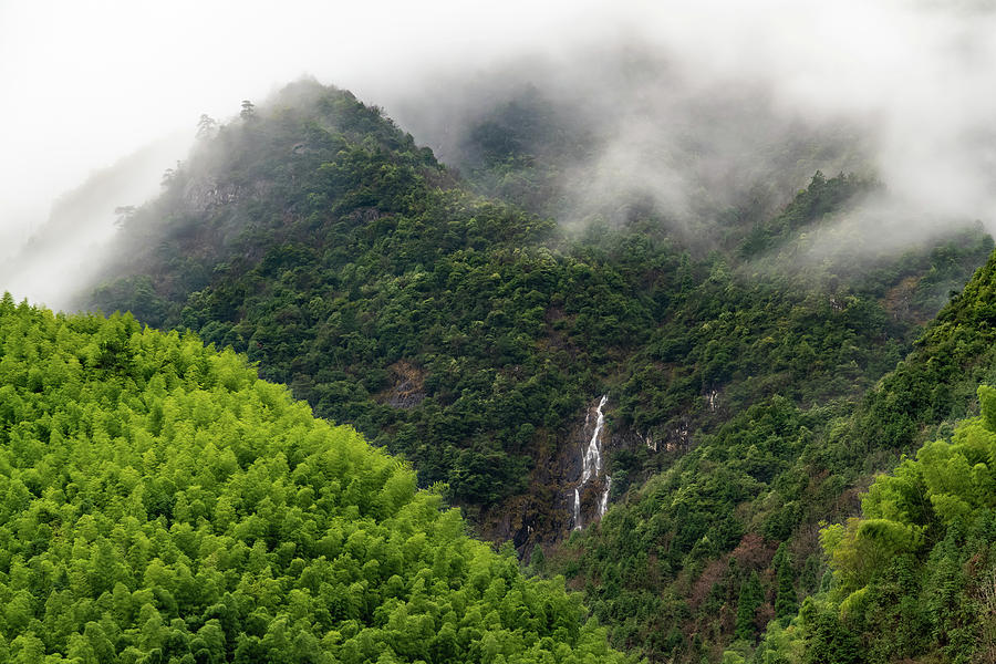 Misty Mountain Waterfall Photograph by William Dickman