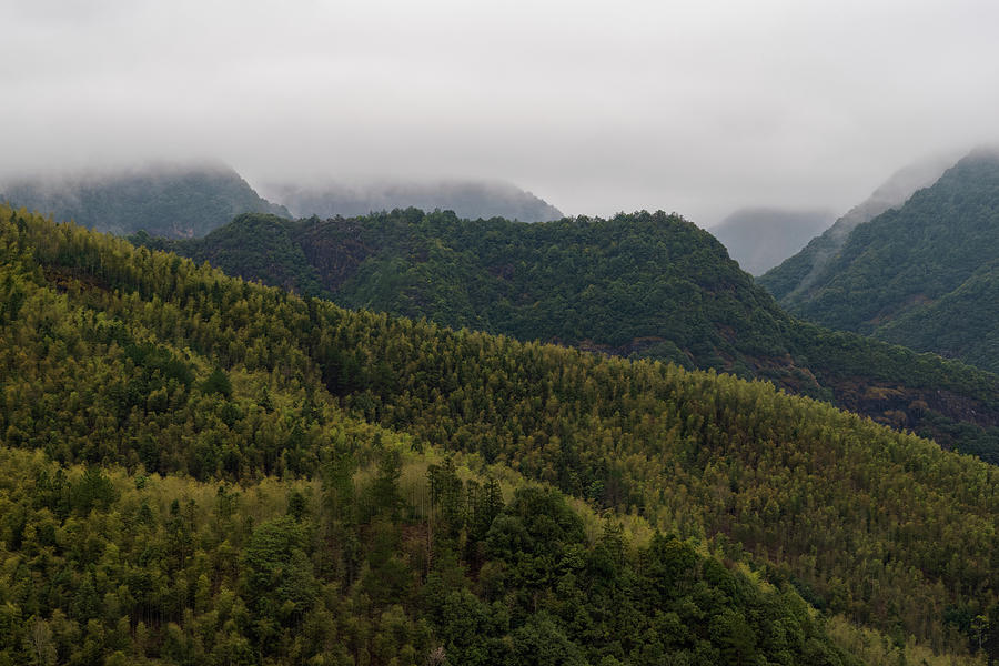Misty Mountains I Photograph by William Dickman