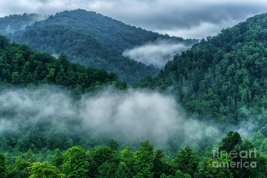 Misty Mountains in Summer Photograph by Thomas R Fletcher