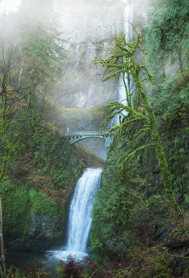 Misty Multnomah Falls Photograph by Angie Vogel