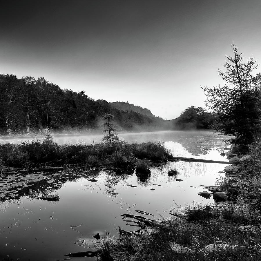 Black And White Photograph - Misty Pond by David Patterson