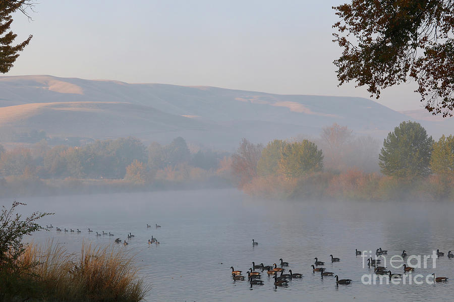 Misty River with Geese and Hills Photograph by Carol Groenen
