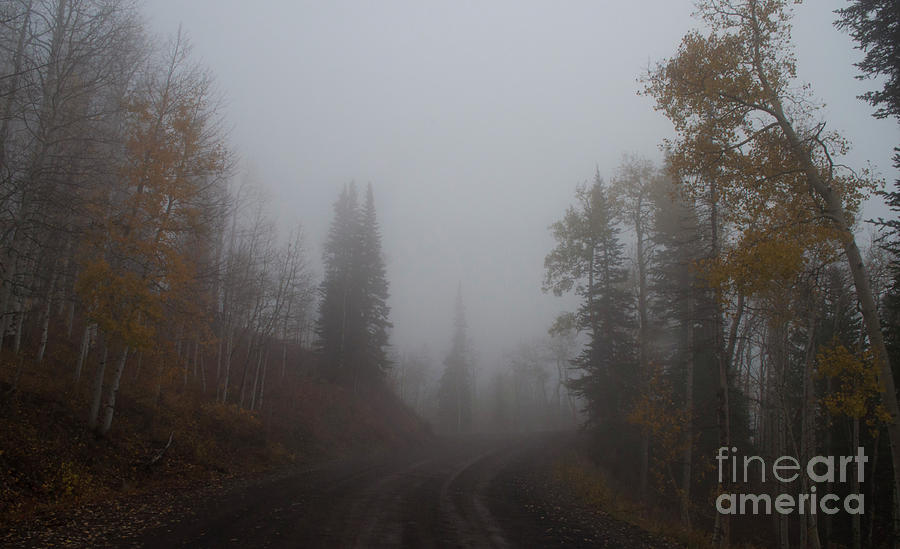 Misty Road Photograph by Julia McHugh