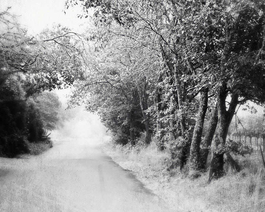 Misty Road Photograph by Lupen Grainne