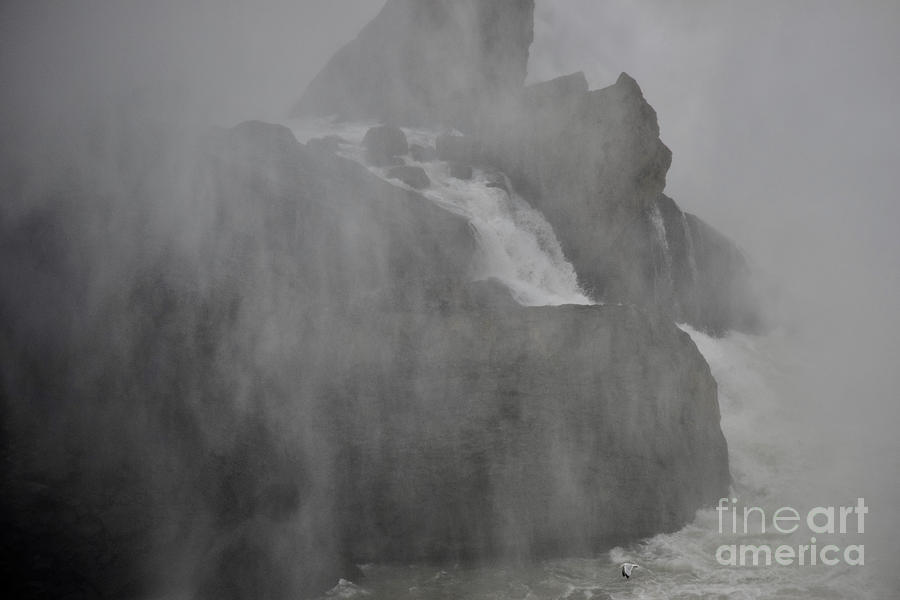 Misty Rocks Photograph by Debra Banks