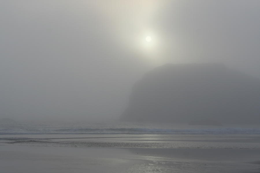 Misty Silhouette Photograph by Dylan Punke Misty Silhouette Photograph by Dylan Punke