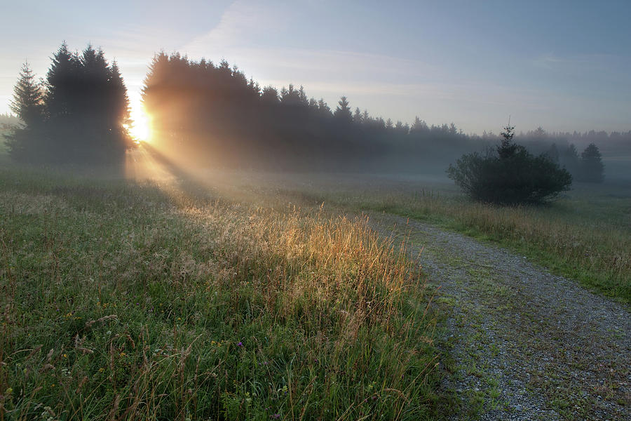 Misty Summer Meadows In Bavaria Photograph by Ingmar Wesemann