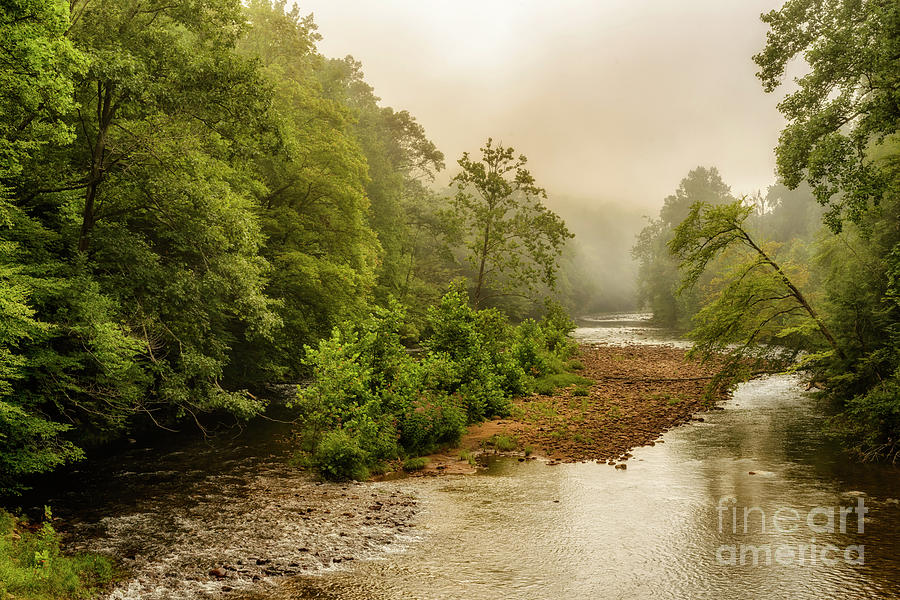 Misty Summer Morning Williams River Photograph by Thomas R Fletcher