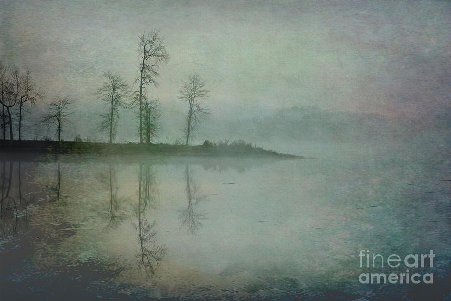 Misty Tranquility Photograph