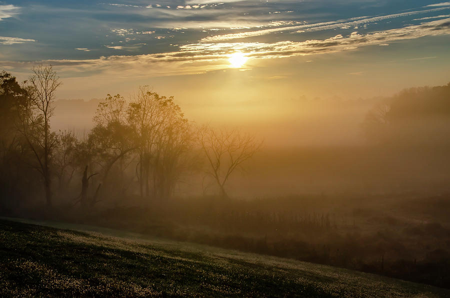 Misty Valley Forge Sunrise Photograph by Bill Cannon