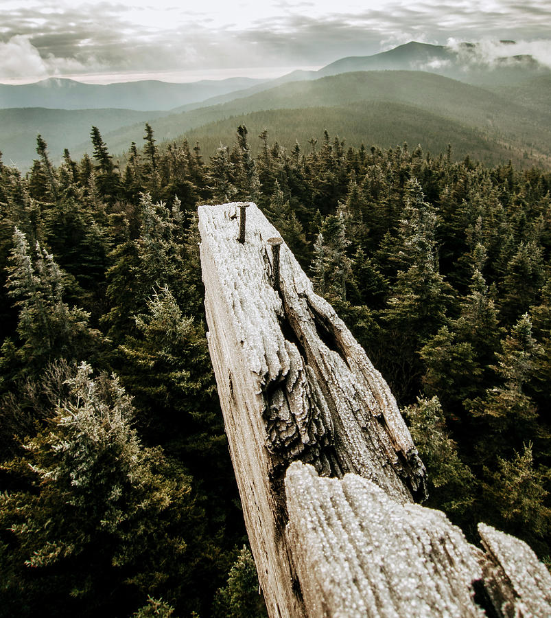 Nature Photograph - Misty View From Fire Tower On Mountain Top In Vast Maine Forest by Cavan Images