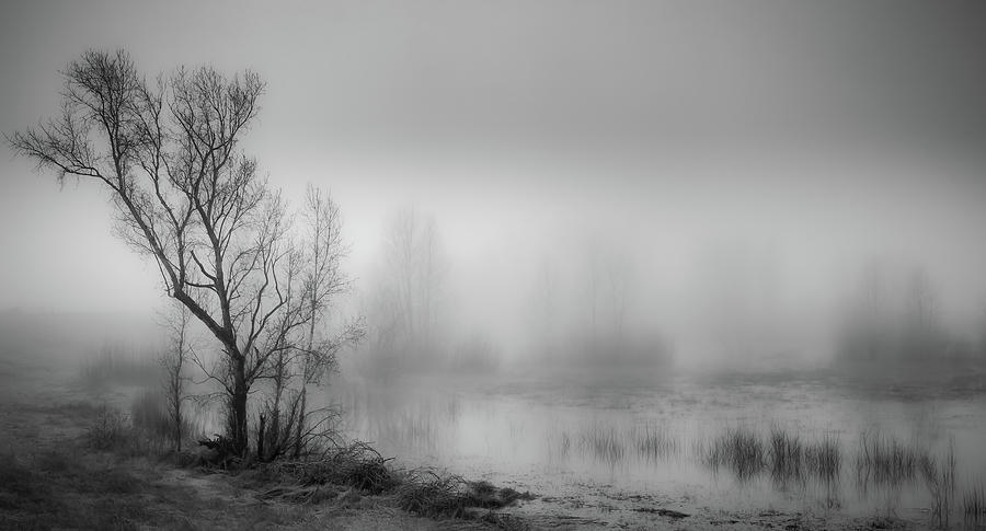 Misty Wetlands Photograph by Don Schwartz