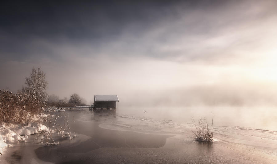 Misty Winter Morning Photograph by Corry Delaan