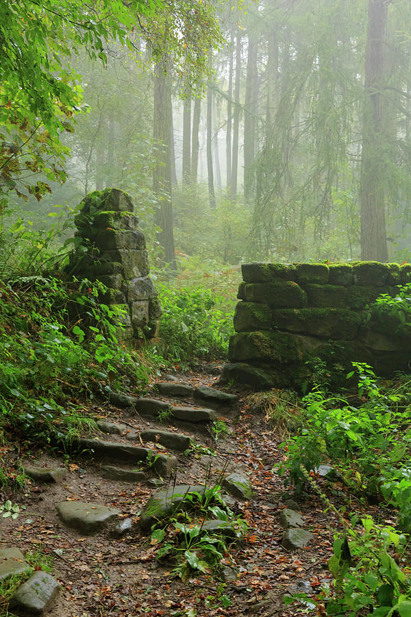 Misty Woods In North Yorkshire Photograph by Louise Heusinkveld Misty Woods In North Yorkshire Photograph by Louise Heusinkveld
