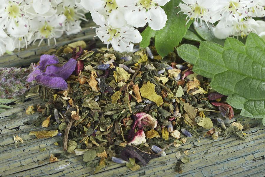 Mix For Herbal Tea With Mistletoe, Hawthorn Leaves, Stinging Nettle ...