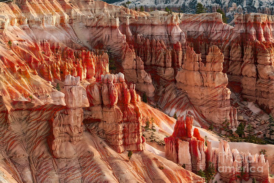 Bryce Canyon National Park Digital Art - Mix Tones Bryce Canyon Hoodoos Utah by Chuck Kuhn