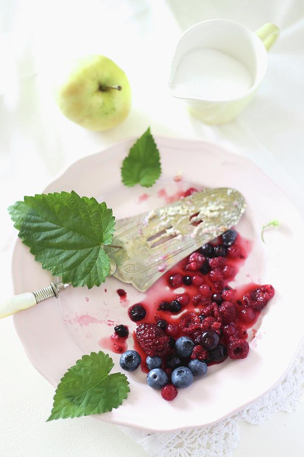 Mixed Berries And Cake Server On Plate Photograph by Syl Loves