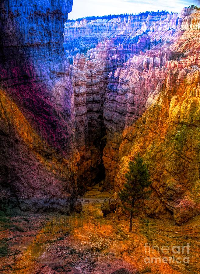Mixed Color Bryce Canyon Colorful Hiking Trail  Digital Art by Chuck Kuhn