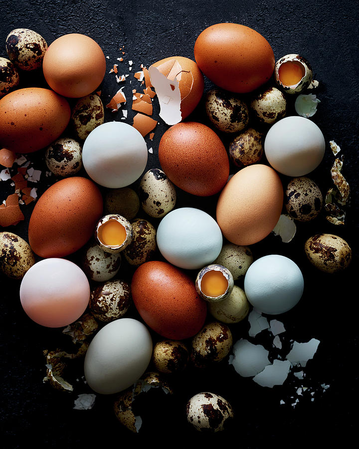 Mixed Egg Variety Photograph by James Lee