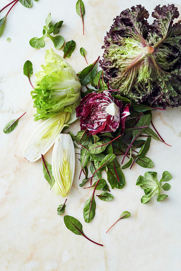 Mixed Leaf Salad Photograph by Thorsten Suedfels / Stockfood Studios