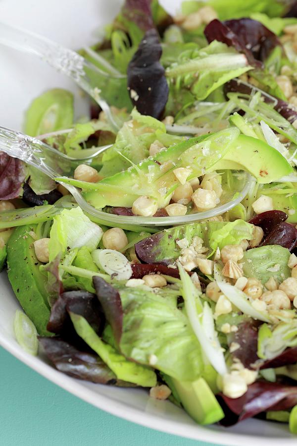 Mixed Leaf Salad With Avocado And A Hazelnut Dressing Photograph by Great Stock!