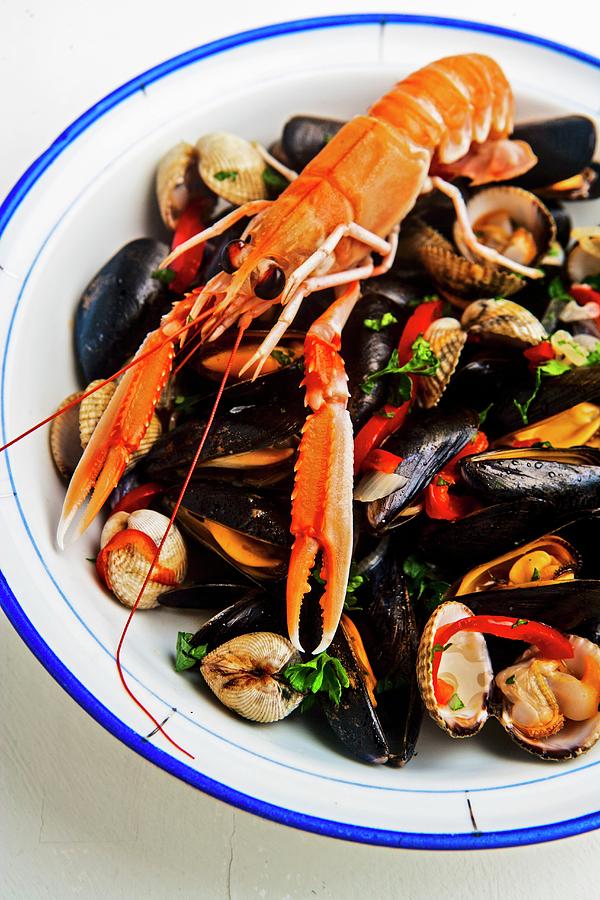 Mixed Mussels With Scampi Photograph by Roger Stowell