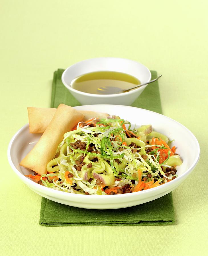 Mixed Vegetable Salad With Lentils And Spring Rolls Photograph by Franco Pizzochero