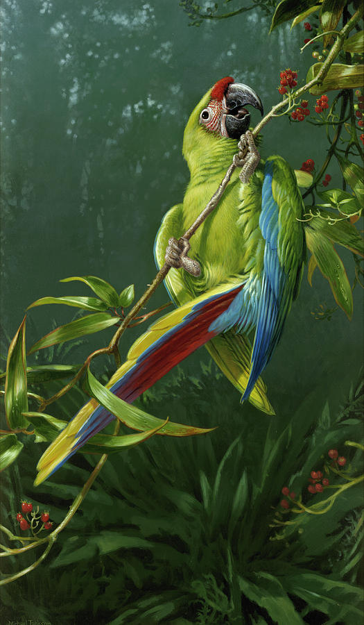 Parrot Photograph - Mja-oil-wwl-69740 by Michael Jackson