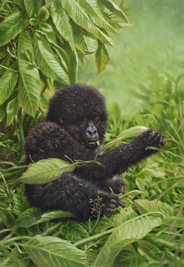 Monkey Painting - Mja Prince Of The Virungas by Michael Jackson