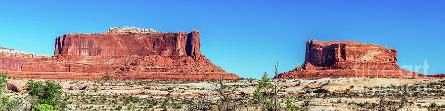 Moab Arches Twin Mountains and Twisted Tree 4 to 1 Ratio Photograph by Aloha Art