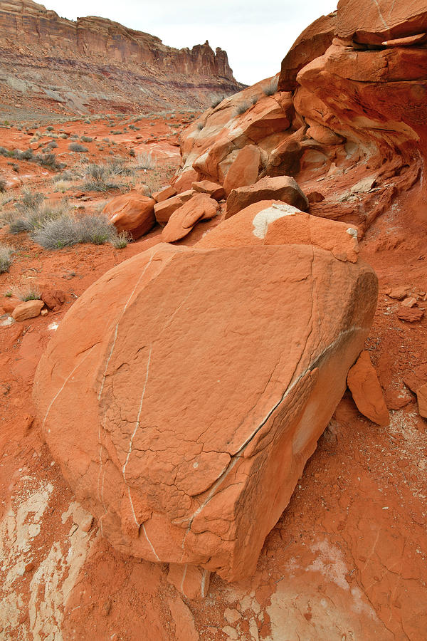 Moabs Redrock Desert Photograph by Ray Mathis