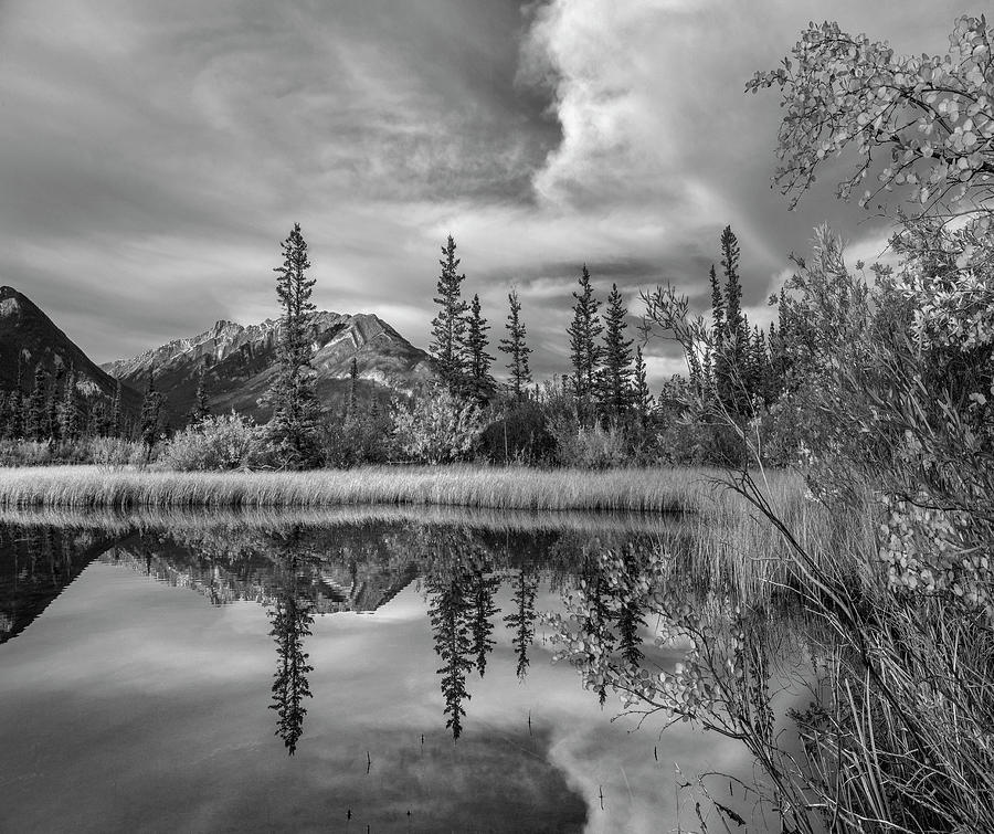 Moberly Flats Jasper National Park Photograph by Tim Fitzharris