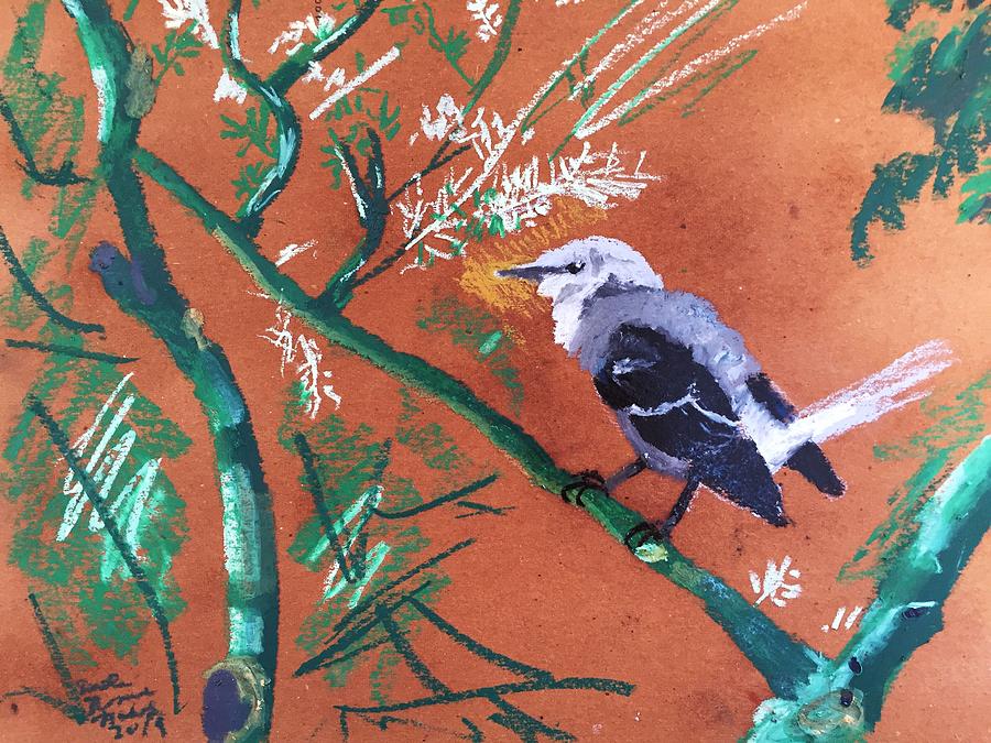 Mockingbird in a Palo Verde Tree Pastel by Danielle Rosaria