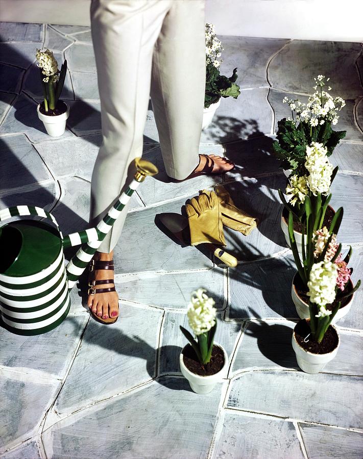 Model In Joyce Sandals By Plants Photograph by Horst P. Horst