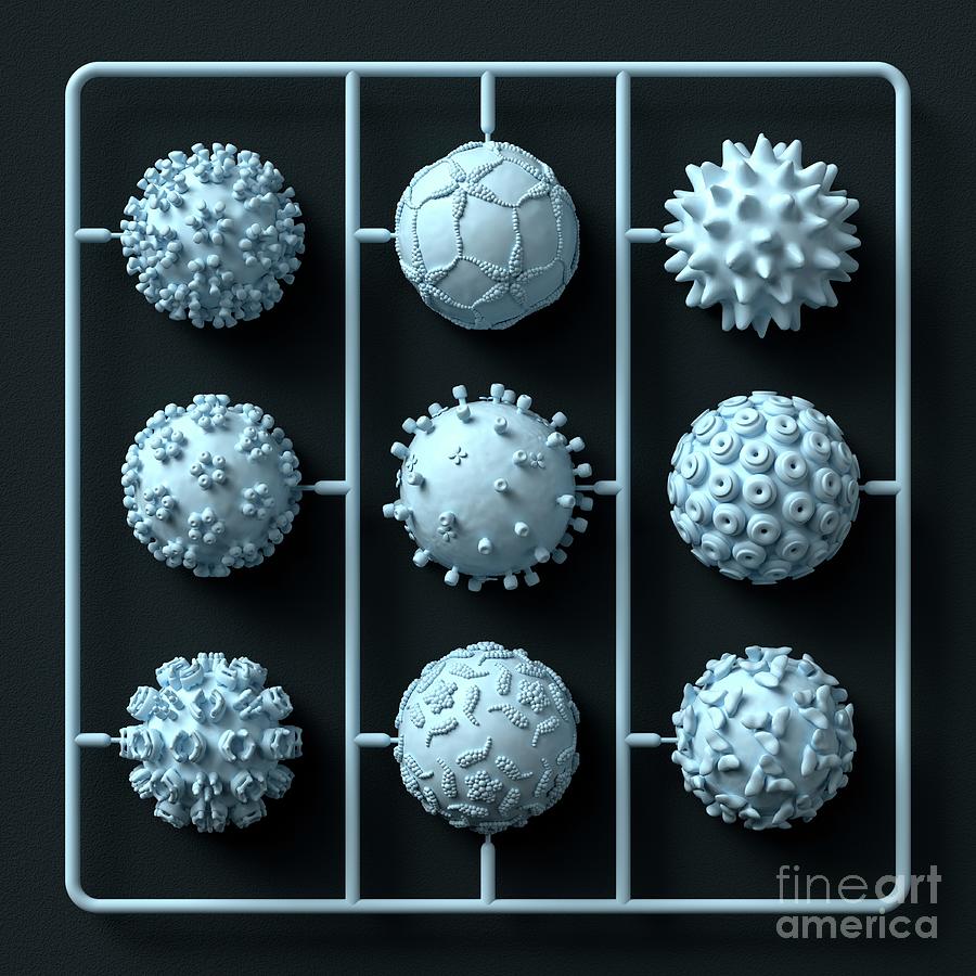 Model Virus Kit Photograph by Ventris/science Photo Library