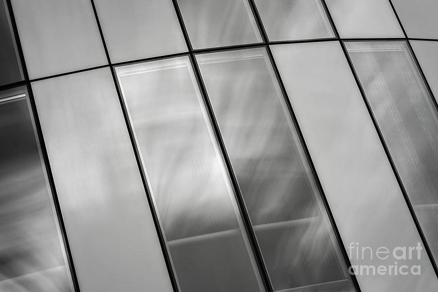 Modern architecture windows Photograph by Sophie McAulay