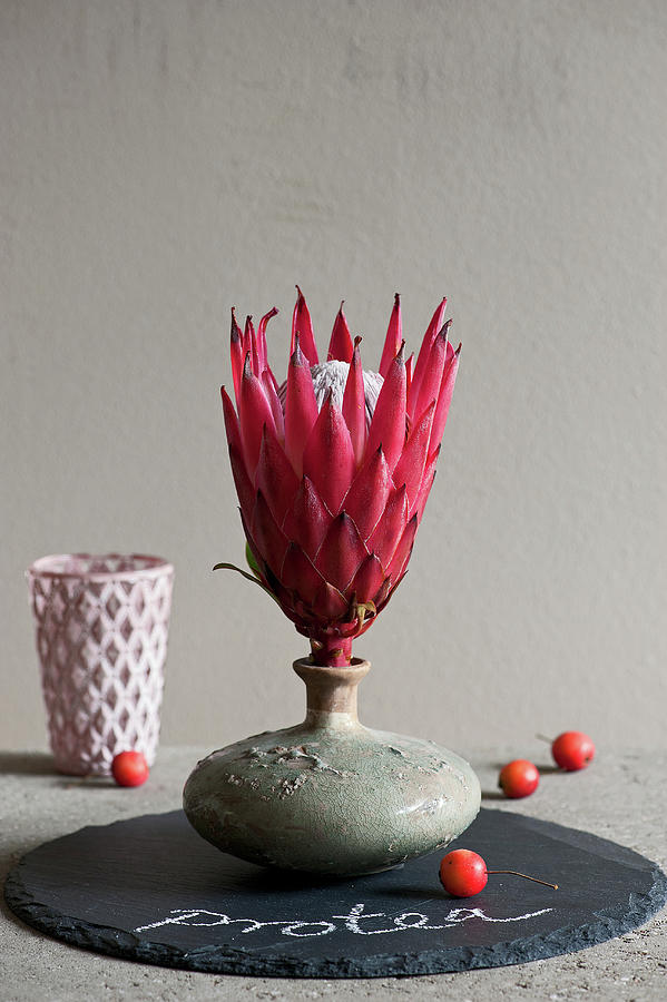 Modern Arrangement With Protea Flower In Vase Photograph by Elisabeth Berkau